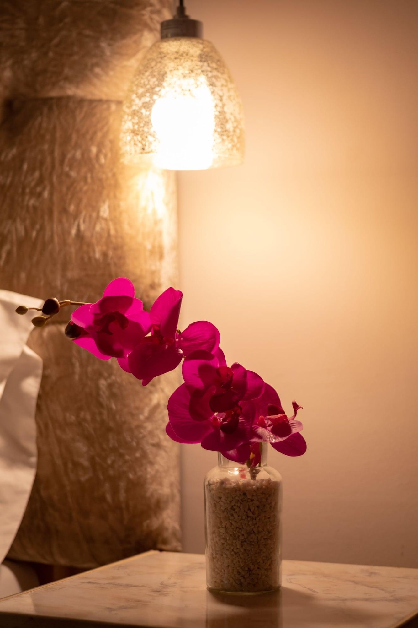 Aposentos De San Pedro Hotel Cartagena Luaran gambar